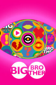 Big Brother: Live Stream