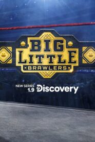 Big Little Brawlers